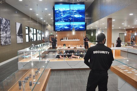 A security guard watches over the new Natural Health Center dispensary which opened its doors on Saturday, July 4 in Lemoore.